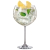 Enebro Gin Cocktail Glasses 30oz / 850ml
